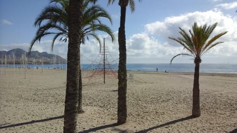 Principado Marina II Apartment in Benidorm