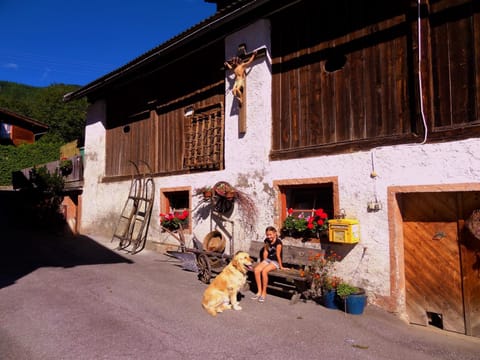 Property building, Summer