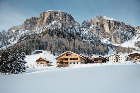 Property building, Nearby landmark, Natural landscape, Winter, Mountain view, locker