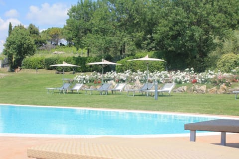 Day, Pool view, Swimming pool