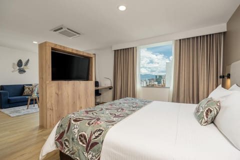 Bed, TV and multimedia, City view, air conditioner