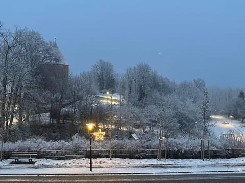 Ferienwohnung Burgplatz 1 Apartment in Plau am See