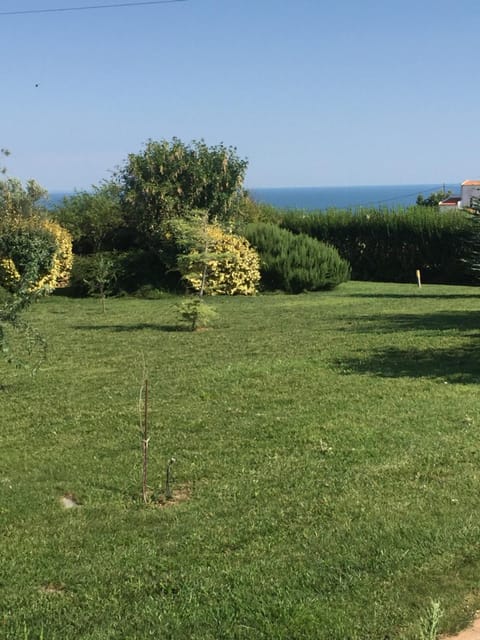 Garden, Garden view, Sea view