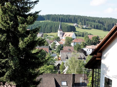 City view, Mountain view