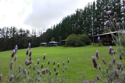 Hawke Brook Chalets Chalet in Yeagarup