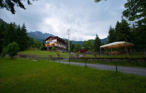 Natural landscape, Garden, Garden, Mountain view