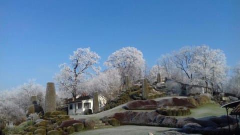 Winter, Garden