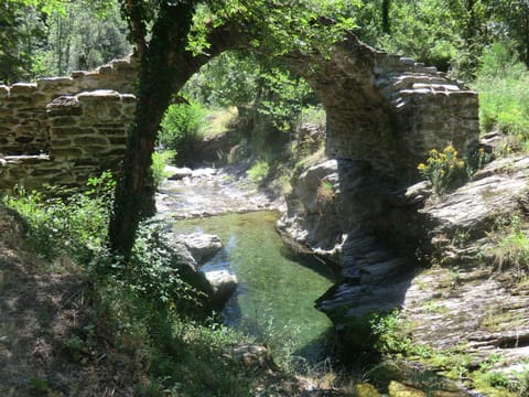 River view