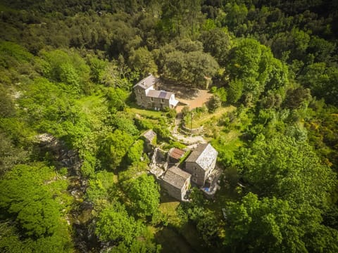 Bird's eye view, On site