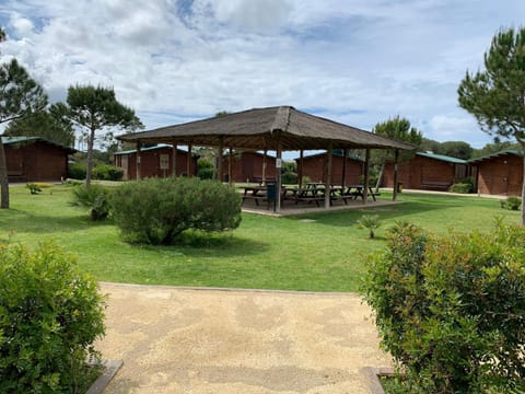 Garden, Dining area, Family