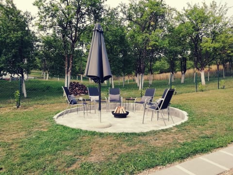 Patio, Garden, Garden view