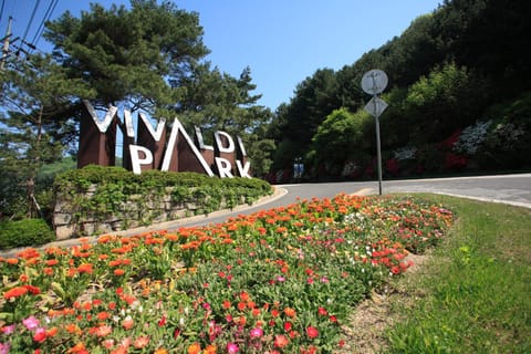 Vivaldi Park Hotel in Gyeonggi-do