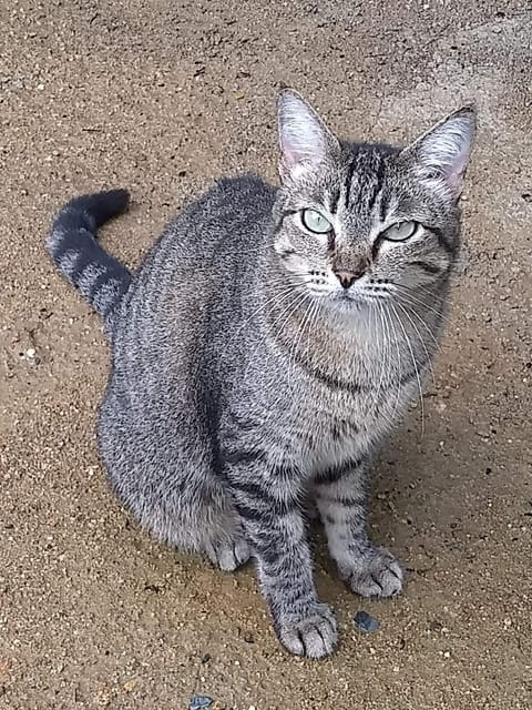 Brisa da Serra Pousada EM SOBRAL-CE Inn in State of Ceará