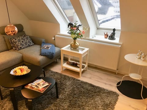 2 BR apartment on walk street Condo in Frederikshavn