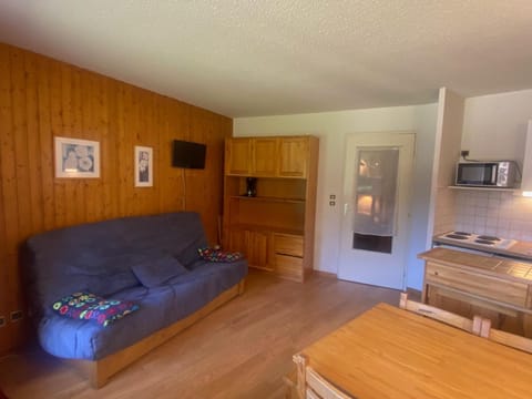 Appartement skis aux pieds 6 pers, balcon, animaux admis - FR-1-445-99 Apartment in Montgenèvre