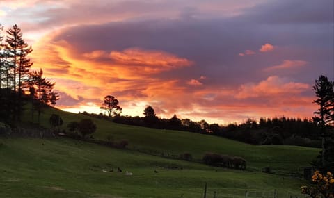 Aorangi Highland Country Retreat House in Rotorua