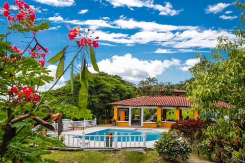 Natural landscape, Garden view, Swimming pool