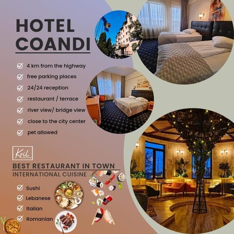 Hotel Coandi Hotel in Timiș County