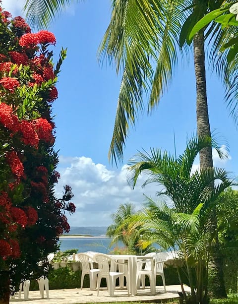 Garden, Sea view