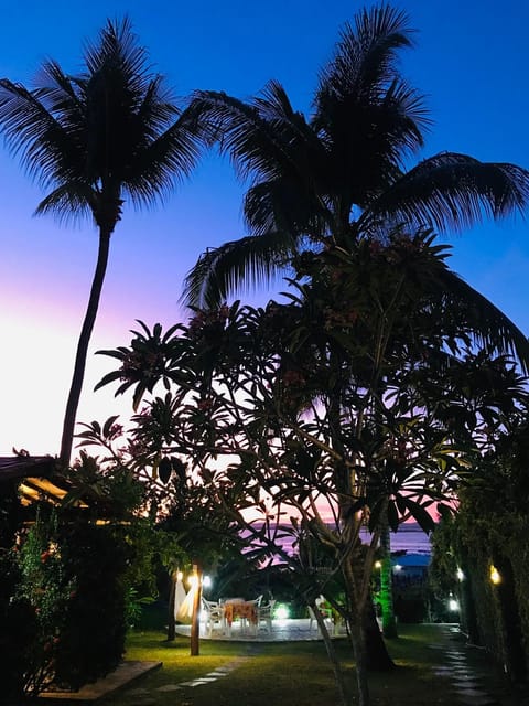 Garden, Sea view, Sunset