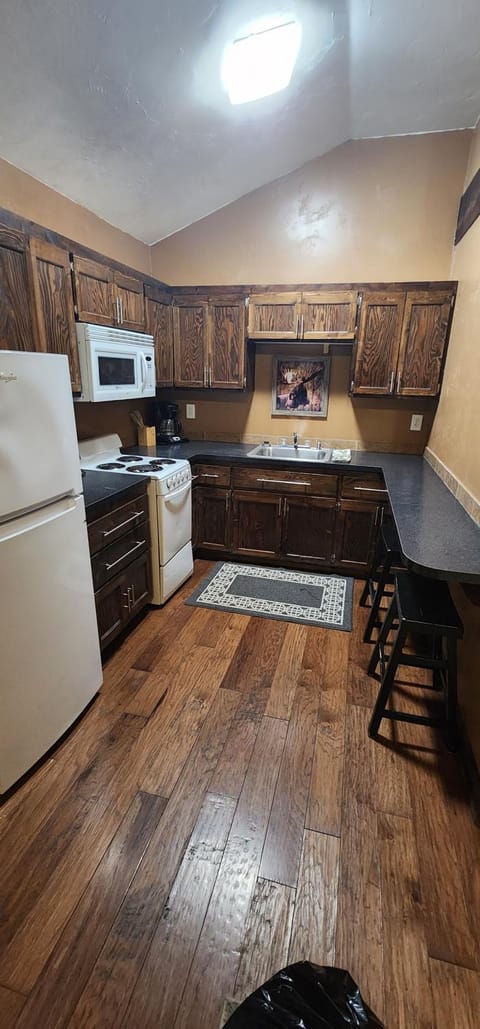 Kitchen or kitchenette, Dining area, oven, toaster