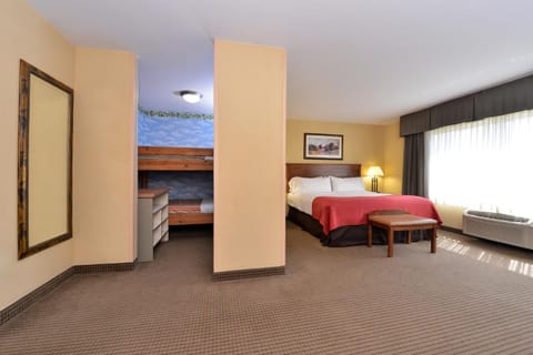 Holiday Inn Stevens Point - Convention Center, an IHG Hotel Hotel in Stevens Point