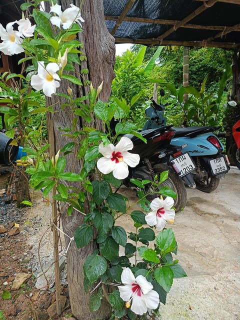 Dahla Lanta Hut Vacation rental in Krabi Changwat