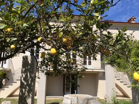 Villa Caterina House in Sapri