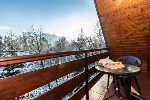 Natural landscape, Winter, View (from property/room), Balcony/Terrace, Mountain view