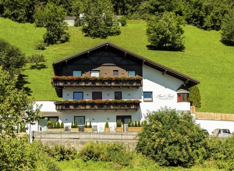 Property building, Day