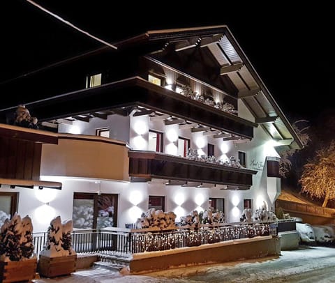Facade/entrance, Night, Winter