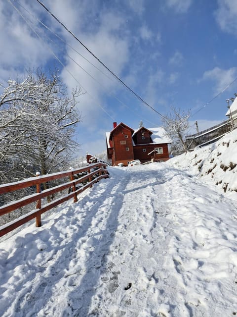 Pensiunea Cabana Viselor Nature lodge in Cluj County