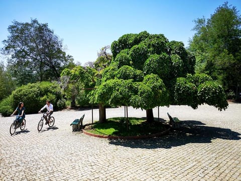 Herdade Clube Tiro Monfortinho Chalet in Sierra de Gata