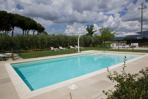 Garden, Swimming pool