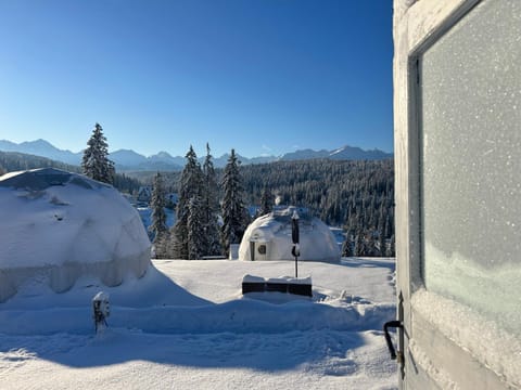 Tatra Glamp Bukowina Tatrzańska - Sieć noclegowa Tatra Glamp Luxury tent in Lesser Poland Voivodeship