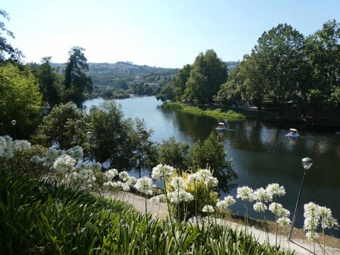 Casa do Ribeirinho Séjour à la ferme in Porto District