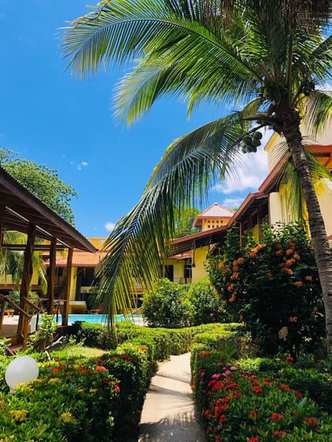 Hotel Isolina Beach Hotel in Guanacaste Province