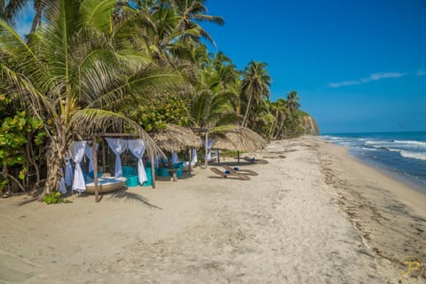 Day, Natural landscape, Beach, Sea view, sunbed