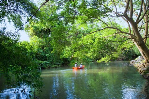 Activities, River view