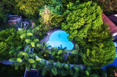 Bird's eye view, Swimming pool