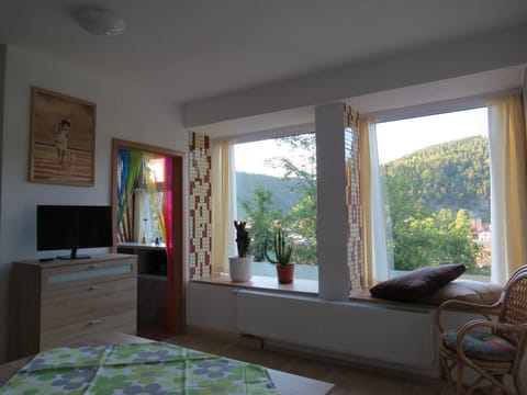 Summer, Photo of the whole room, On site, Mountain view, River view