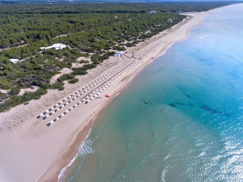 Bird's eye view, Summer, Beach, Beach, Sea view