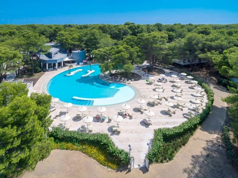 Bird's eye view, Pool view, Swimming pool