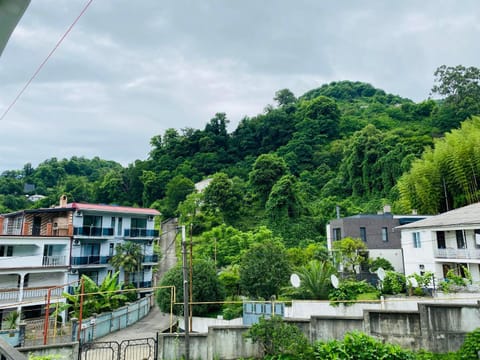 Hotel Neli Bed and Breakfast in Batumi