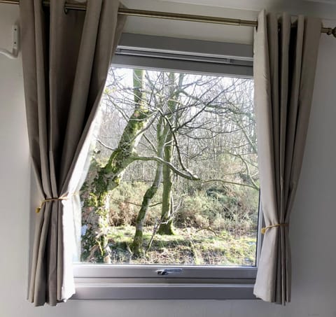 Spring, Day, Natural landscape, Garden, Garden view