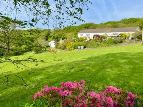 Cwmbach Guest House Bed and Breakfast in Wales