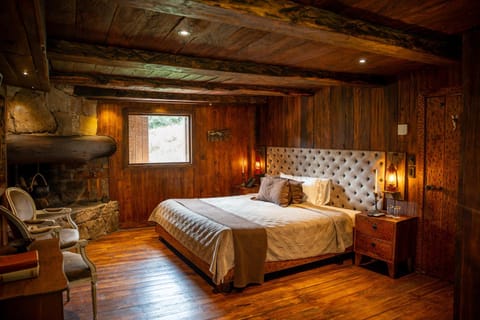 Bed, Photo of the whole room, Bedroom, fireplace