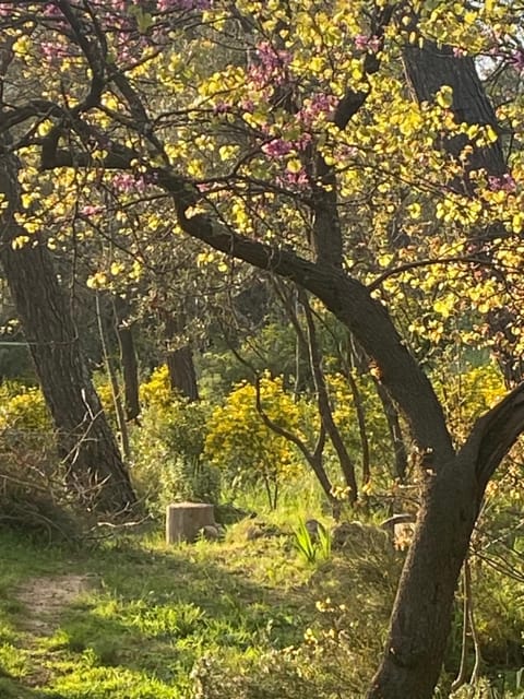 Les Restanques de Bibémus House in Aix-en-Provence