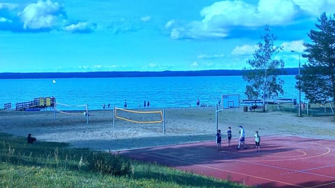 Nearby landmark, Beach, Animals