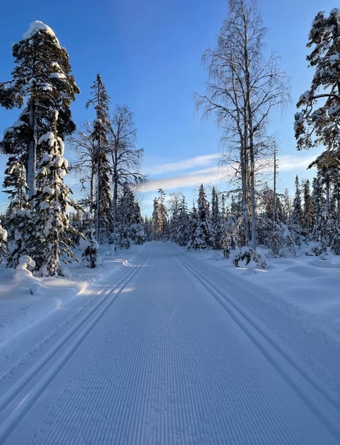 Villa Karhunkehto Chalet in Rovaniemi